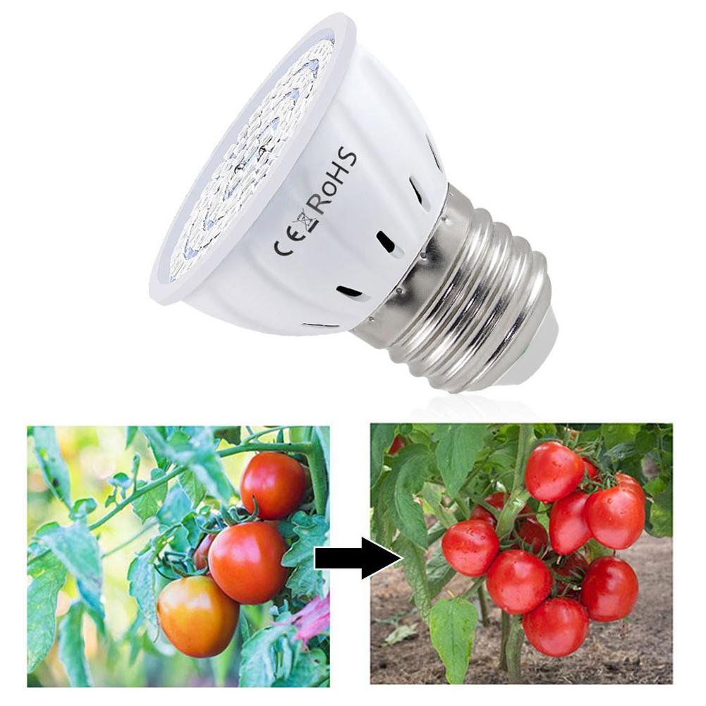 Plant Grow Light Full Spectrum - Lampadina LED per Coltivazione E27 60-80