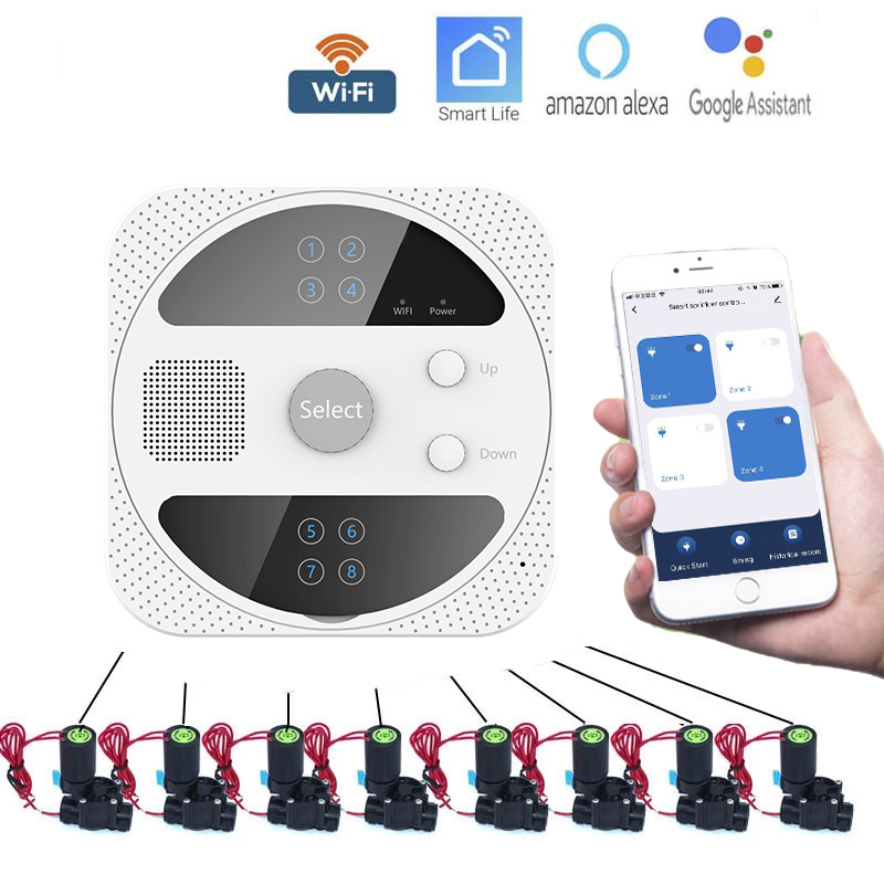 Smart Garden Iot - WIFI Timer irrigazione intelligente regolatore irrigazione