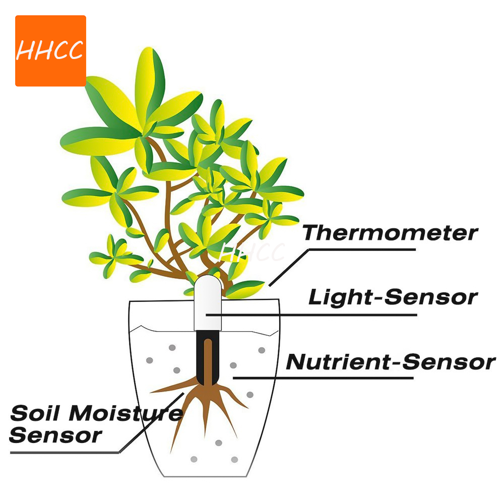 HHCC Smart Flower Monitor Flor - Smart Garden Xiaomi recensione e prezzo