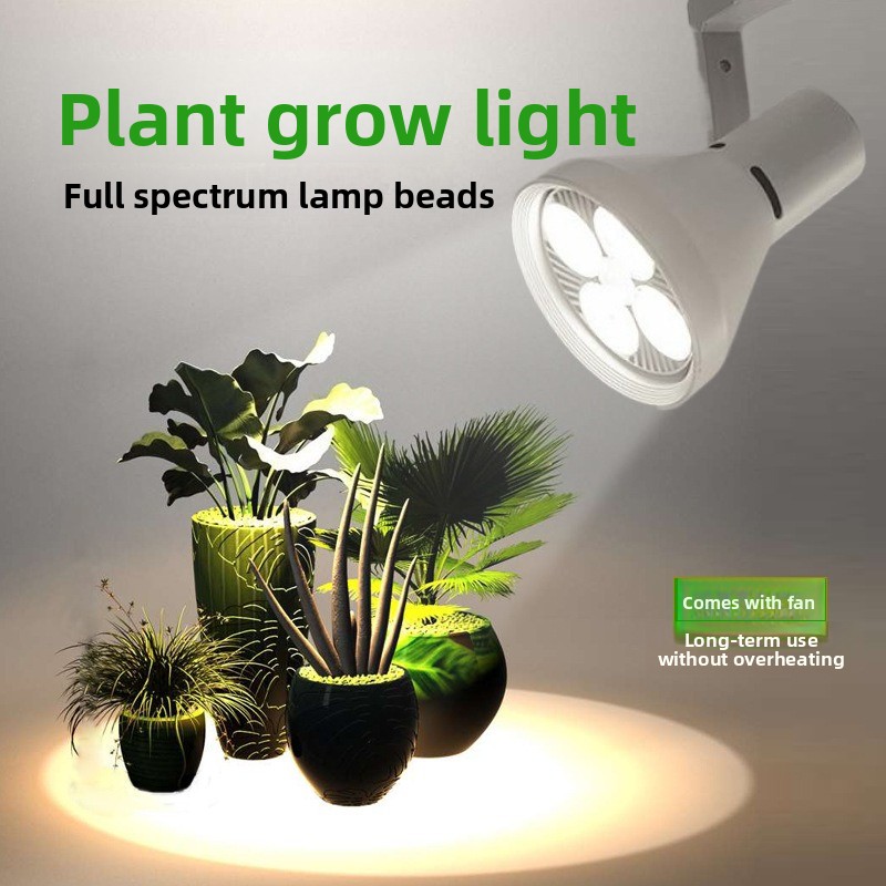 Lampada LED a Spettro Completo - Plant Grow Light Full Spectrum recensione e prezzo