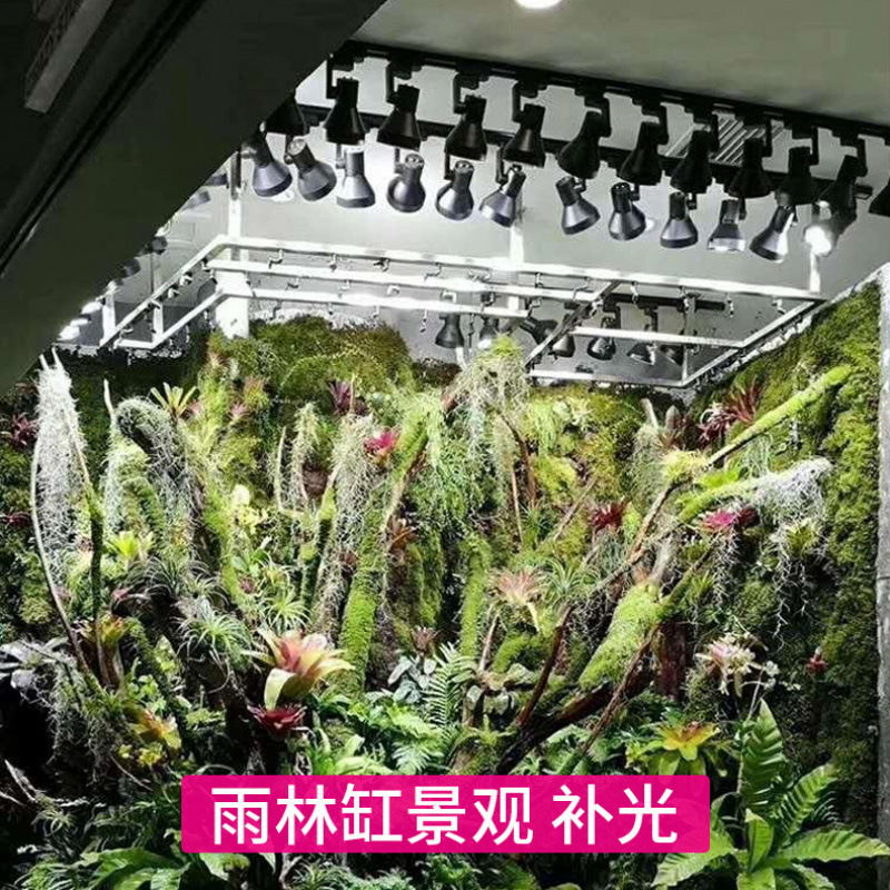 Lampada LED a Spettro Completo - Plant Grow Light Full Spectrum recensione e prezzo
