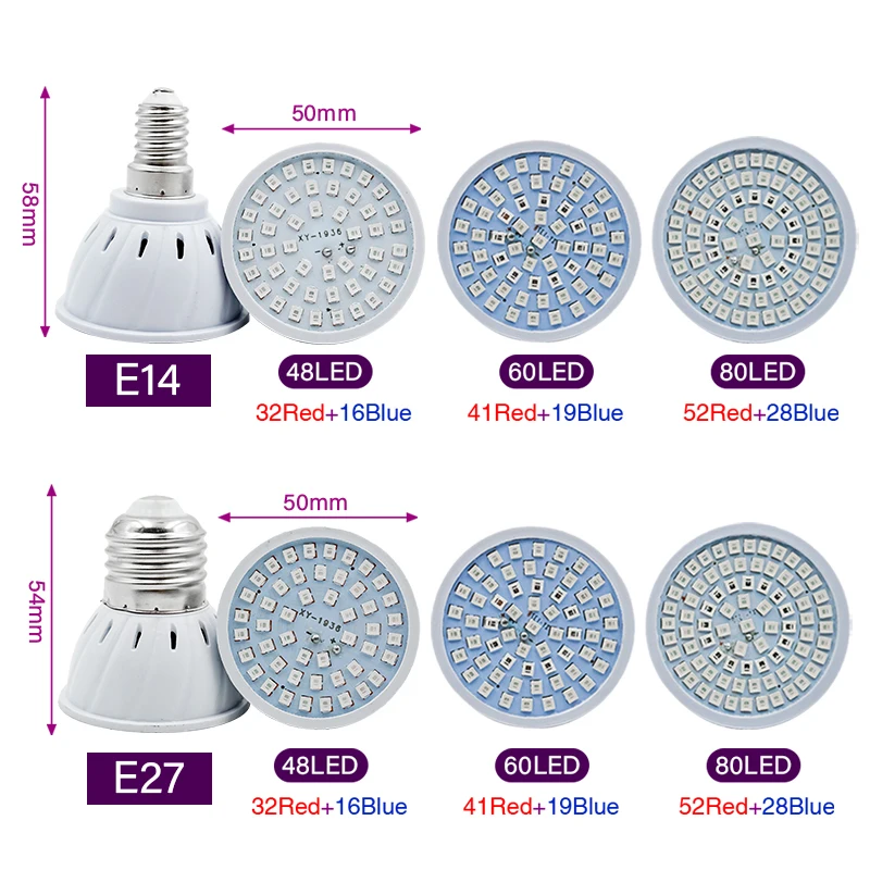 Phyto Lampada Spettro Completo - Plant Grow Light Full Spectrum recensione e prezzo