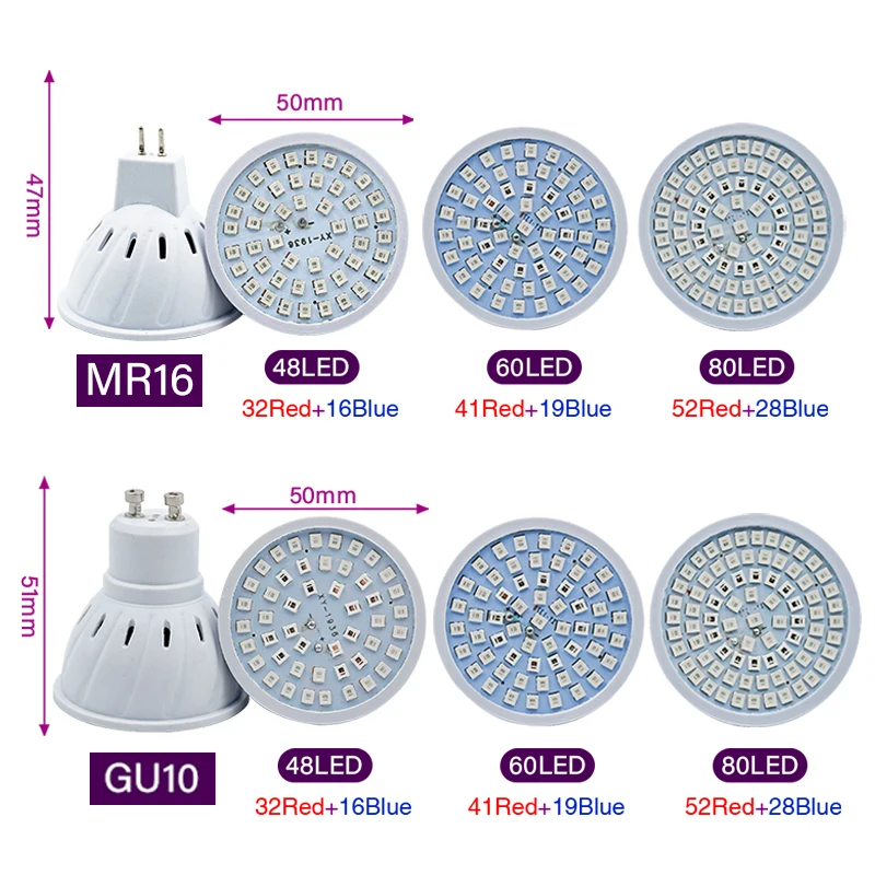 Phyto Lampada Spettro Completo - Plant Grow Light Full Spectrum recensione e prezzo