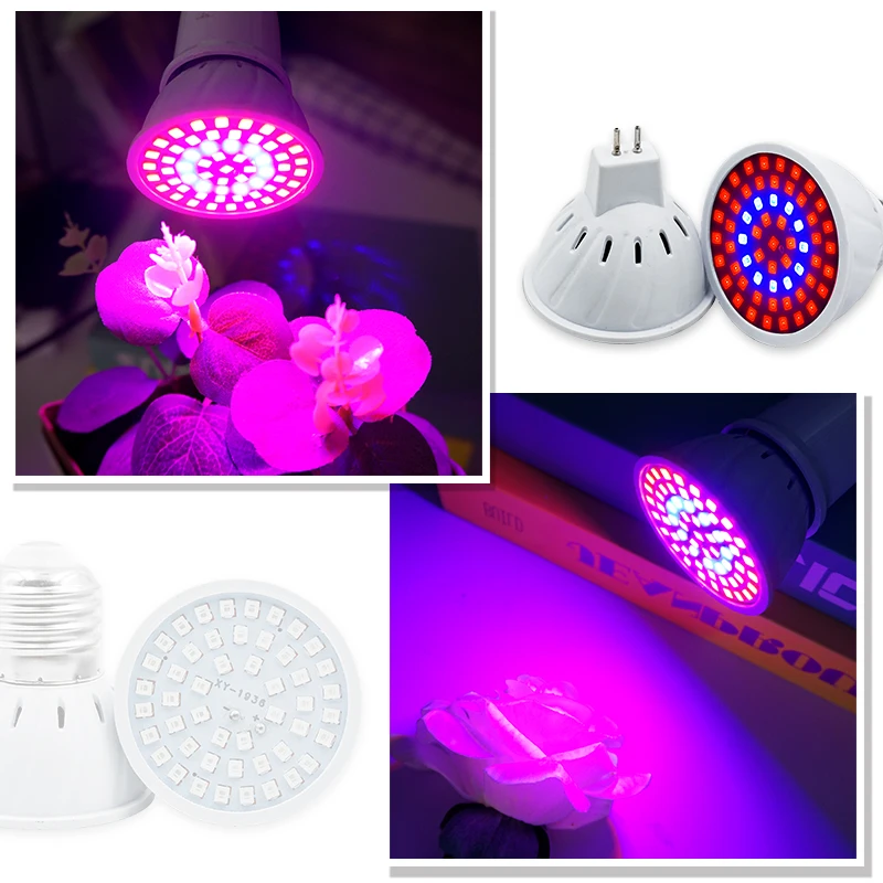 Phyto Lampada Spettro Completo - Plant Grow Light Full Spectrum recensione e prezzo