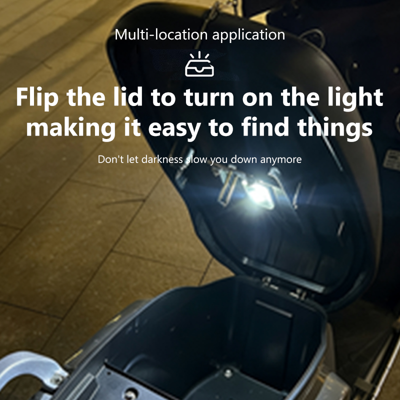 Luce LED per Bauletto Moto BLA - Smart Led Garden recensione e prezzo