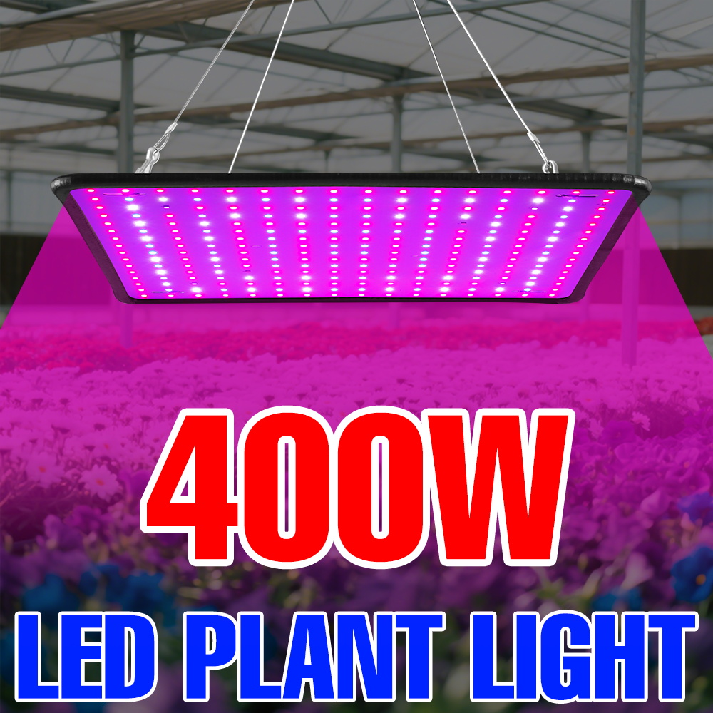 400W LED Coltiva La Luce Spett - Led Plant Light Strip recensione e prezzo