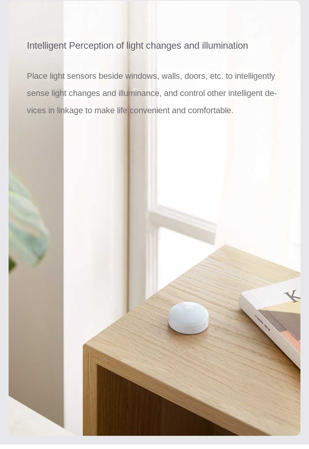 Aqara Sensore di luce T1 Zigbe - Smart Garden Xiaomi recensione e prezzo