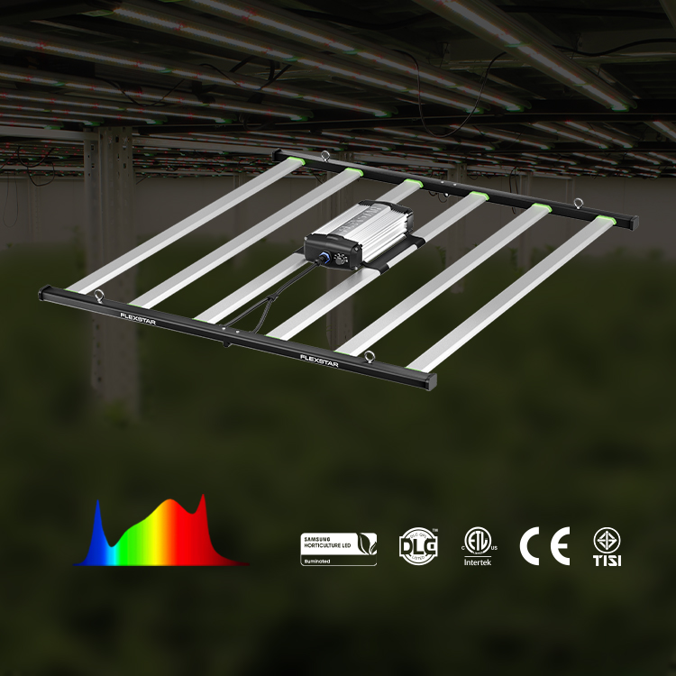 Lampada LED per Coltivazione F - Plant Grow Light Full Spectrum recensione e prezzo