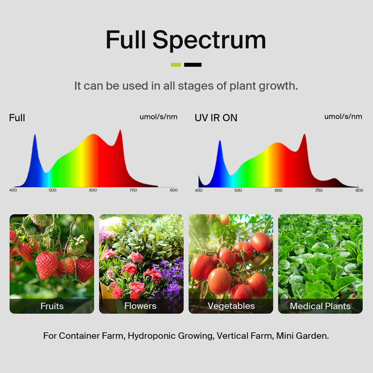 Lampada LED per Coltivazione F - Plant Grow Light Full Spectrum recensione e prezzo