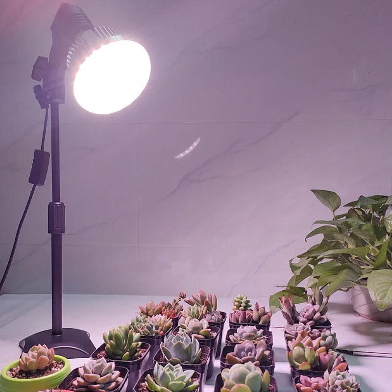 Lampada per Coltivazione Piegh - Plant Grow Light Full Spectrum recensione e prezzo