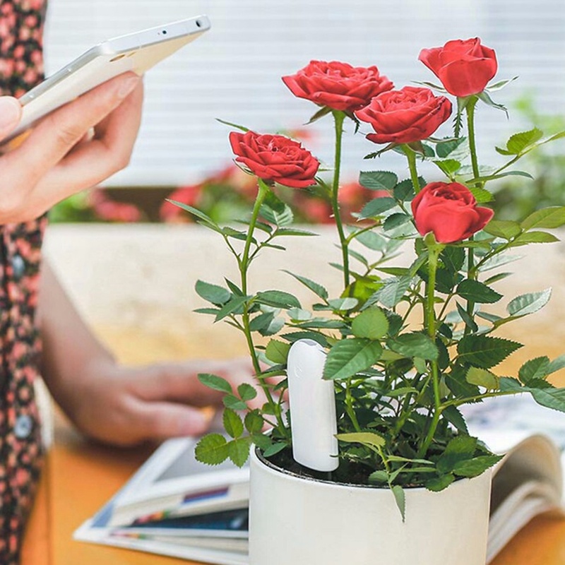 HHCC Fiore Monitor Flora Giard - Smart Garden Xiaomi recensione e prezzo