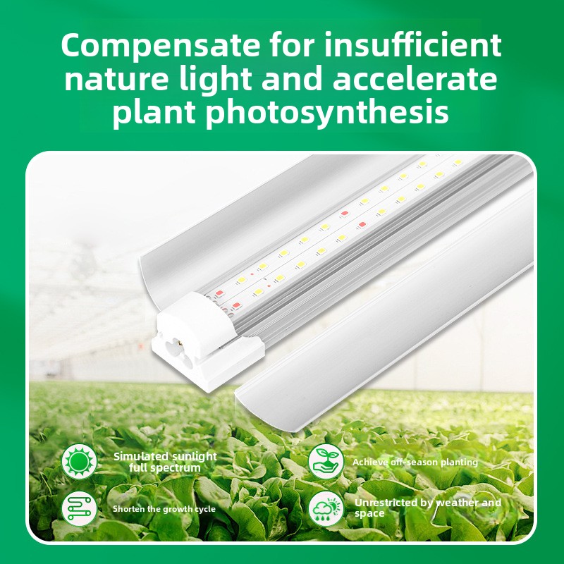 Lampada LED T8 a Spettro Compl - Plant Grow Light Full Spectrum recensione e prezzo