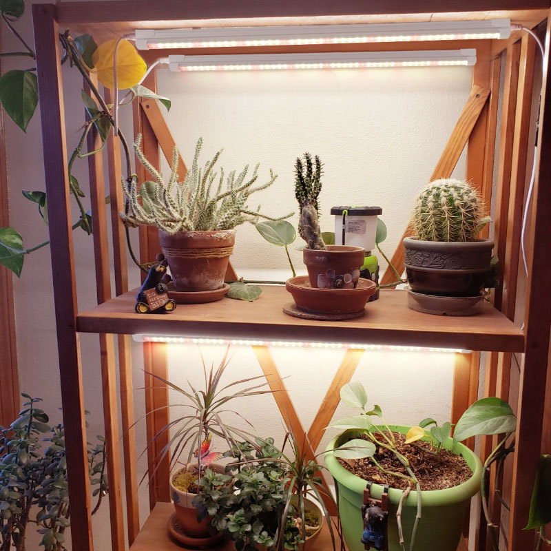 Lampada LED T8 a Spettro Compl - Plant Grow Light Full Spectrum recensione e prezzo