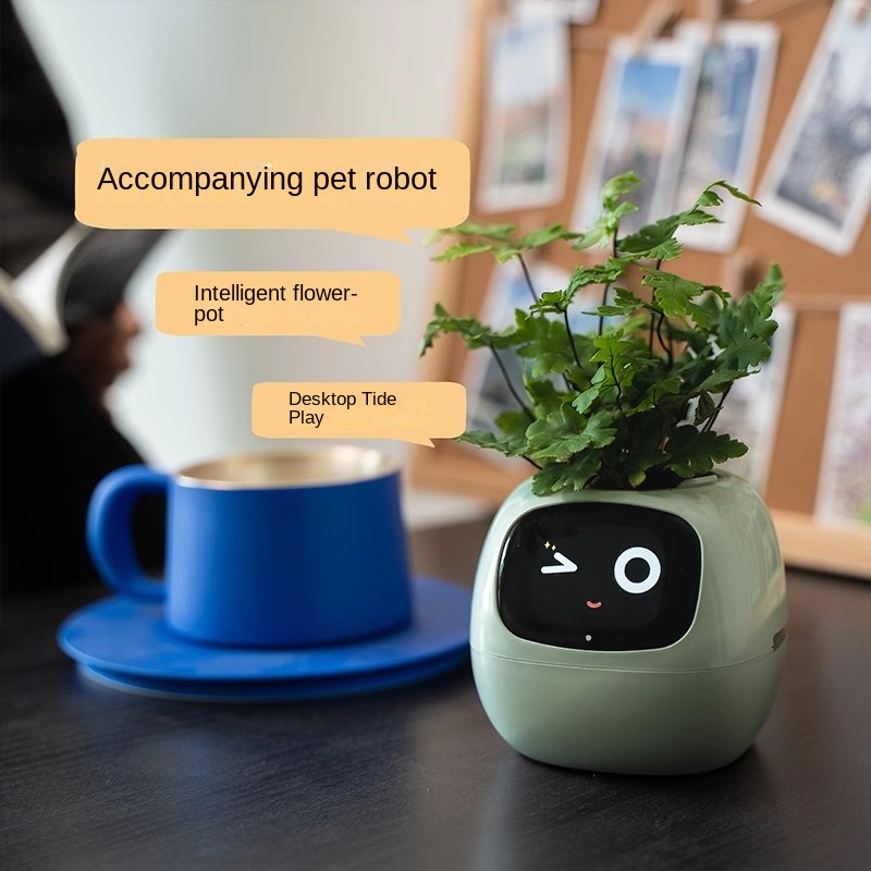 Vaso per Fiori Intelligente co - Self Watering Pot Sensor recensione e prezzo