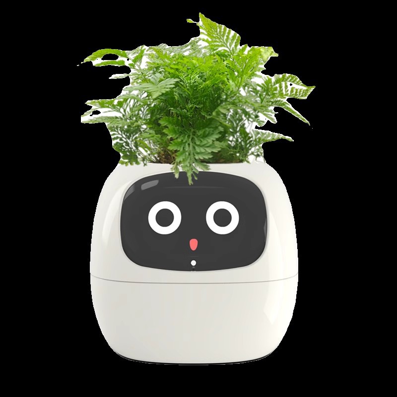 Vaso per Fiori Intelligente co - Self Watering Pot Sensor recensione e prezzo
