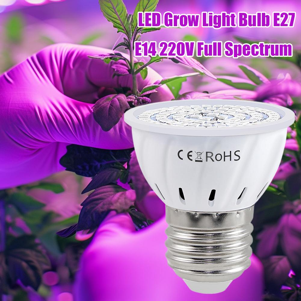 Lampadina LED per Coltivazione - Plant Grow Light Full Spectrum recensione e prezzo