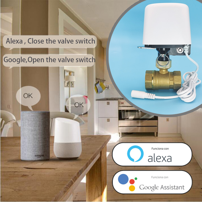 Timer per Irrigazione da Giard - Smart Garden Iot recensione e prezzo