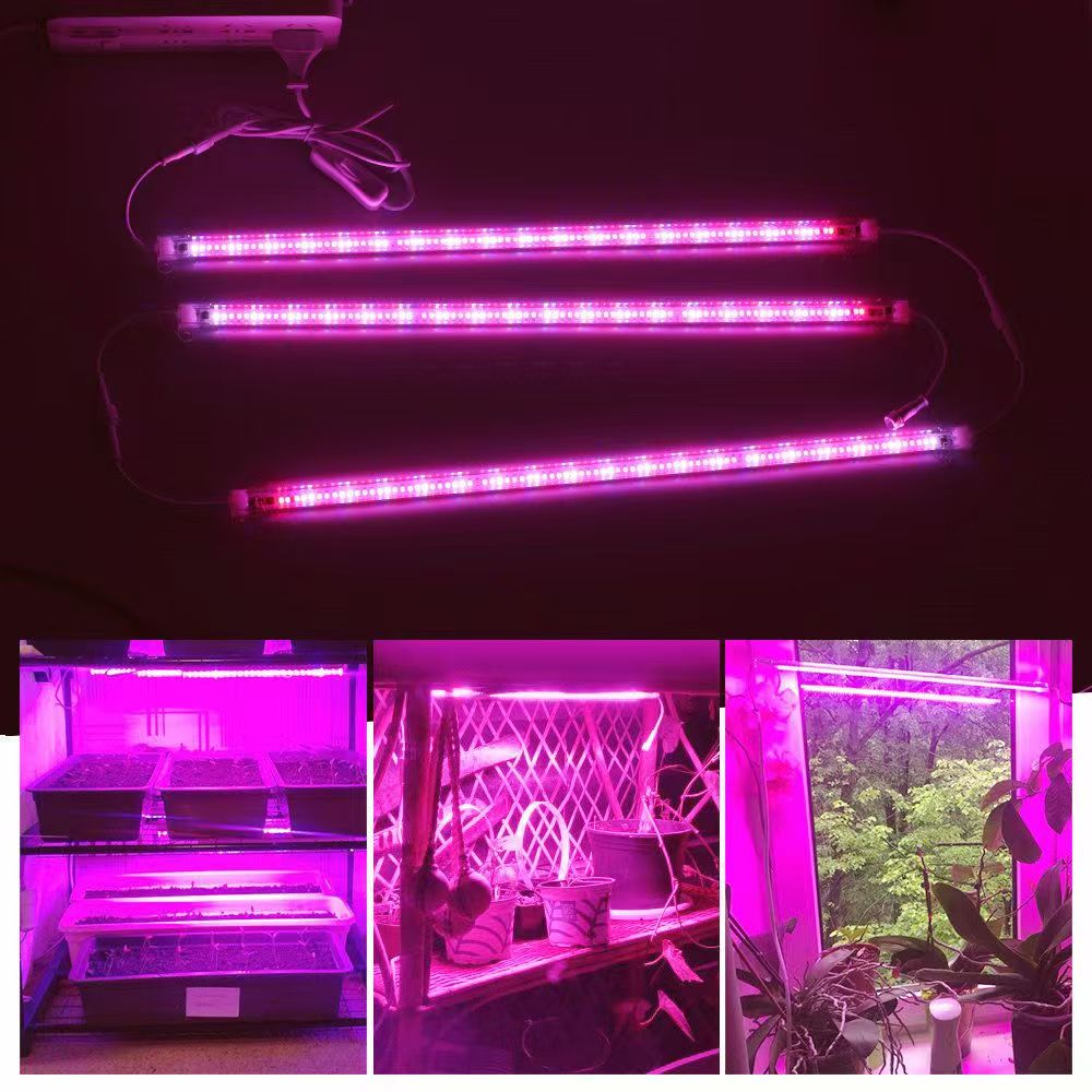 Strisce LED da 12 Pollici per  - Plant Grow Light Full Spectrum recensione e prezzo