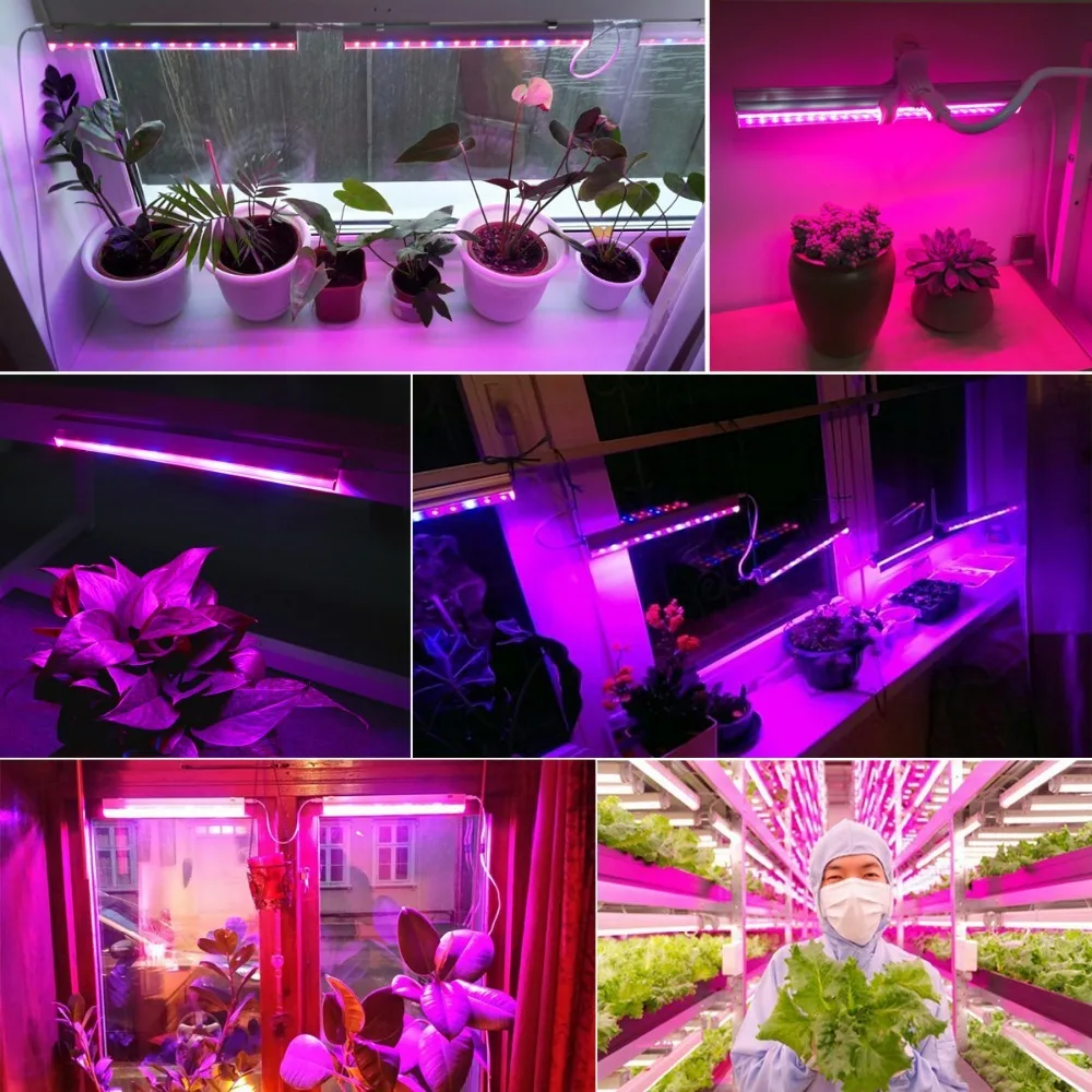 Strisce LED da 12 Pollici per  - Plant Grow Light Full Spectrum recensione e prezzo