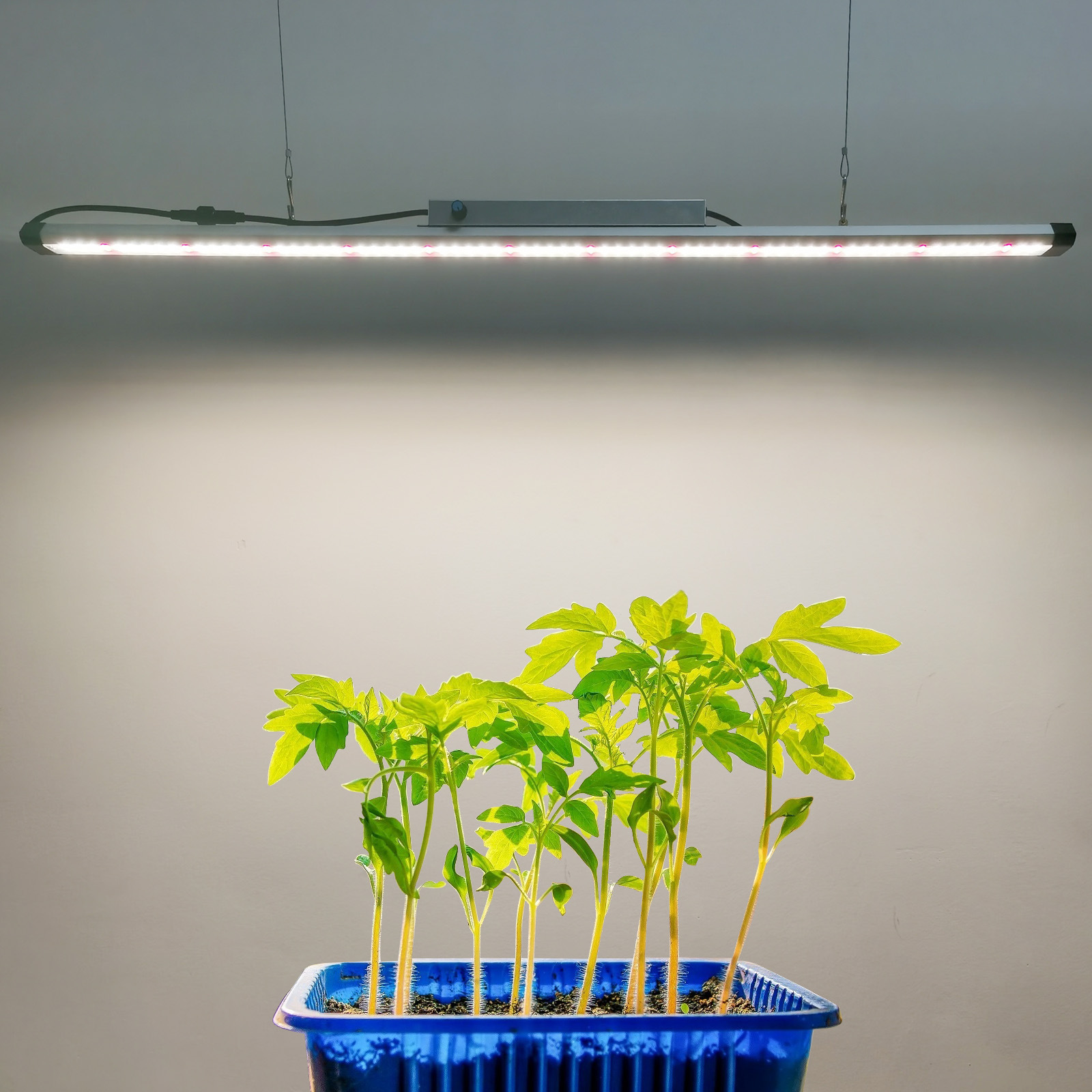 Barra LED per Coltivazione a S - Plant Grow Light Full Spectrum recensione e prezzo