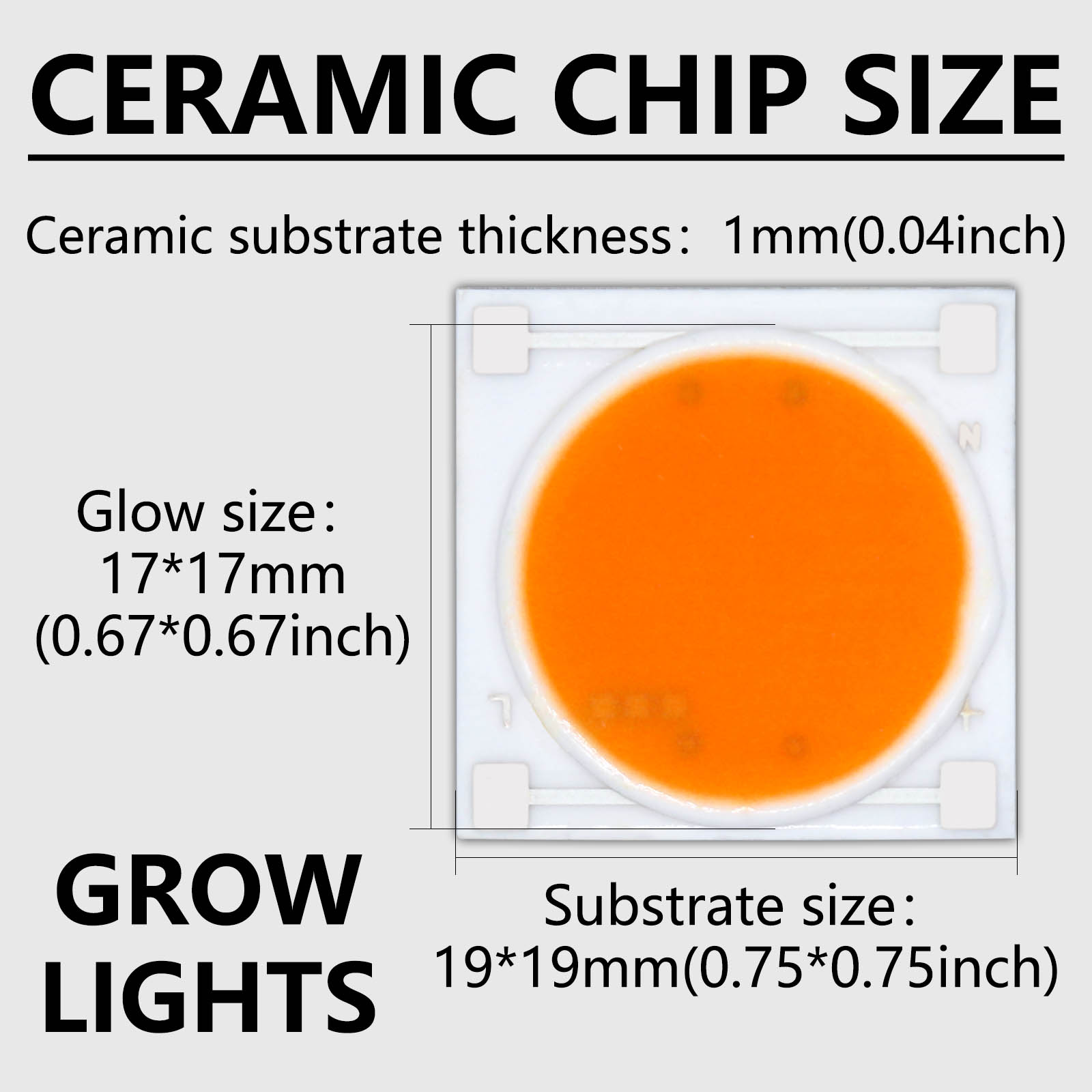 5 pz Base in Ceramica LED COB  - Plant Grow Light Full Spectrum recensione e prezzo