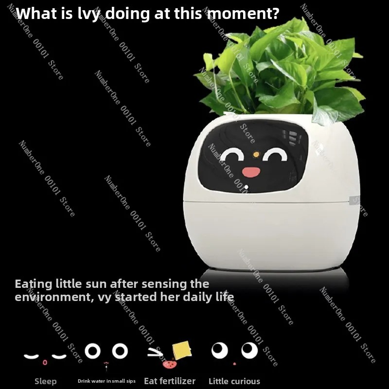 Vaso per Fiori Autoirrigante R - Self Watering Pot Sensor recensione e prezzo