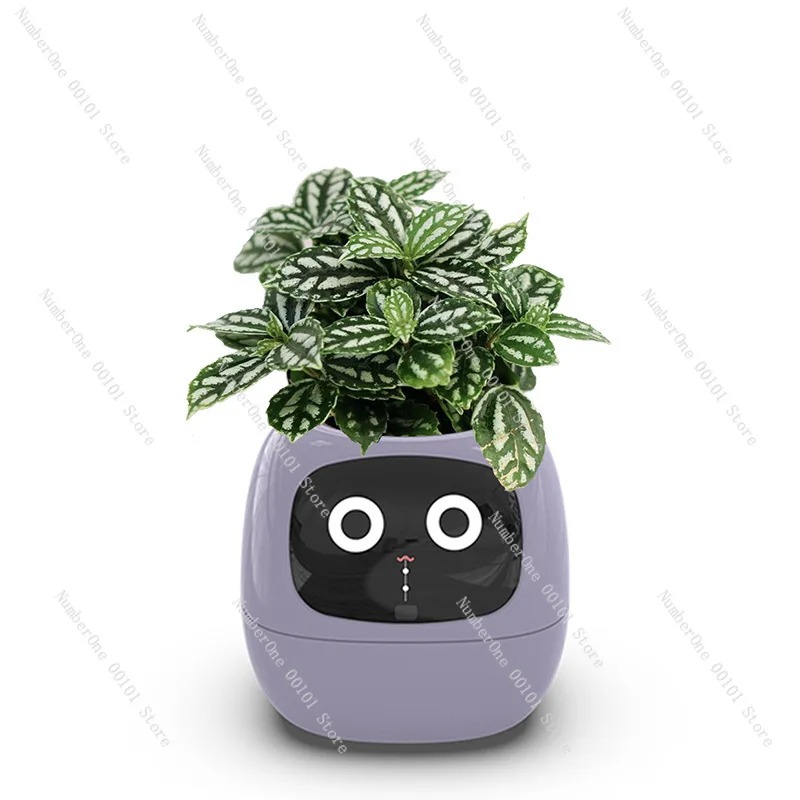 Vaso per Fiori Autoirrigante R - Self Watering Pot Sensor recensione e prezzo