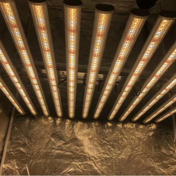 LUX Illuminazione LED per Pian - Plant Grow Light Full Spectrum recensione e prezzo