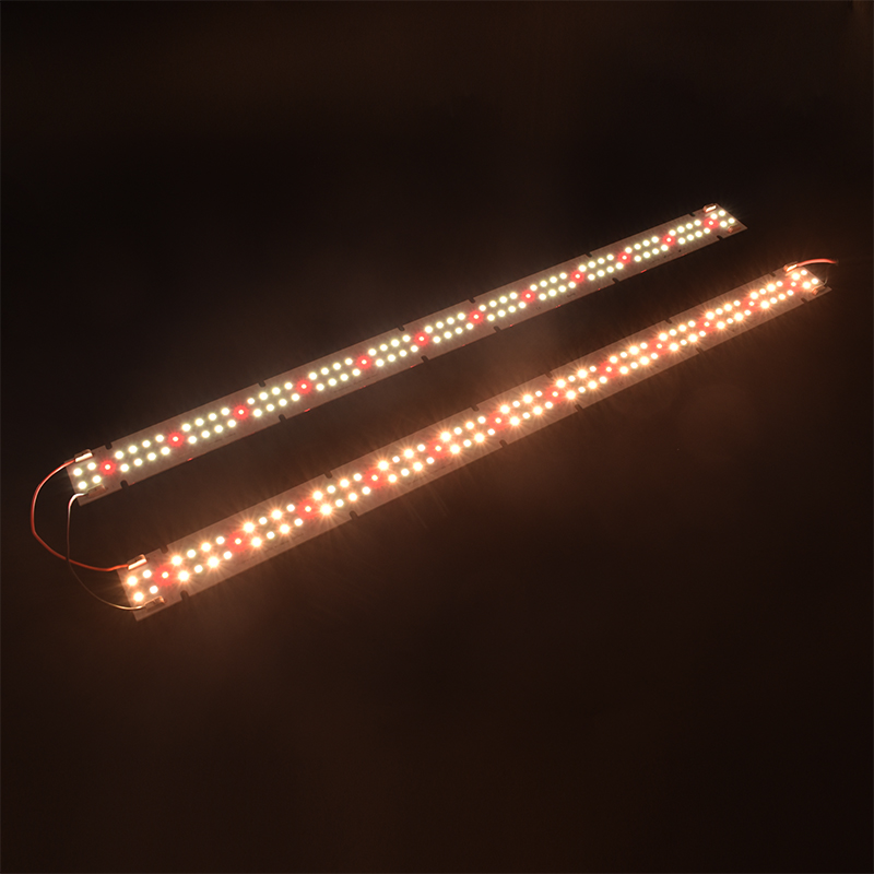 Lampada LED COB per Coltivazio - Plant Grow Light Full Spectrum recensione e prezzo