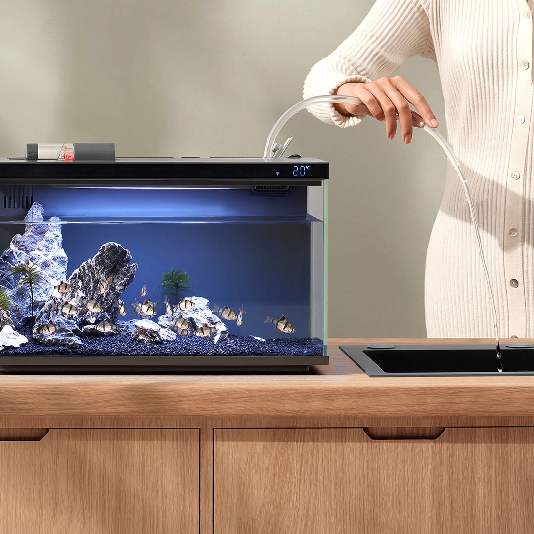 Xiaomi Mijia Smart Fish Tank M - Smart Garden Xiaomi recensione e prezzo
