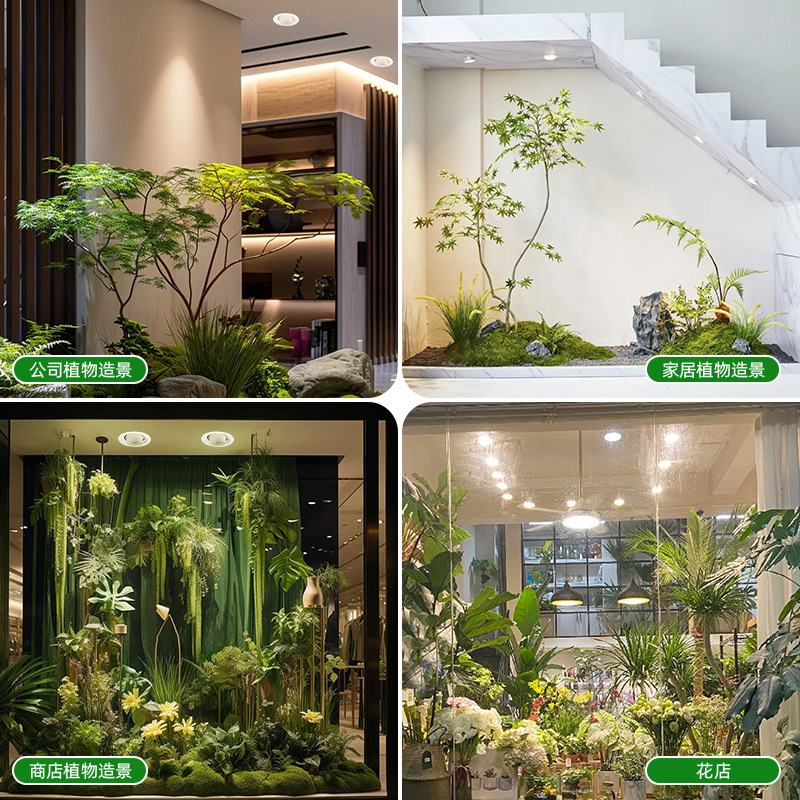 Lampada LED per Coltivazione a - Plant Grow Light Full Spectrum recensione e prezzo