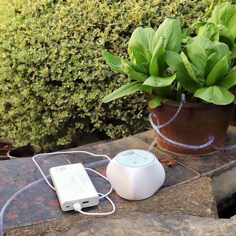 Wifi Lazy set di irrigazione a - Smart Garden Iot recensione e prezzo