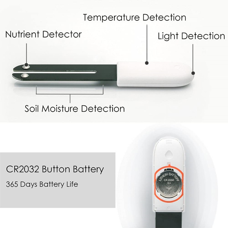 HHCC Fiore Monitor Flora Giard - Smart Garden Xiaomi recensione e prezzo
